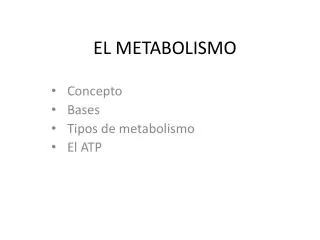 el metabolismo