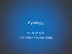 Cytology - slide 1