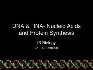 DNA &amp; RNA- Nucleic Acids and Protein Synthesis