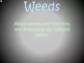 About weeds and how they are destroying our national parks.