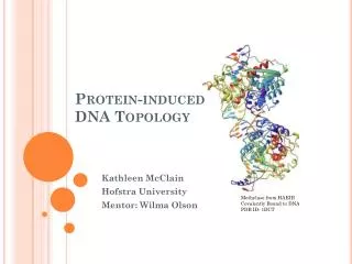 Protein-induced DNA Topology