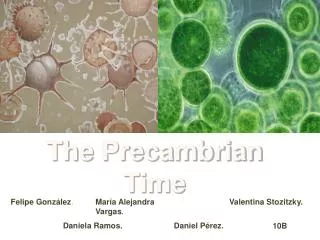 The Precambrian Time