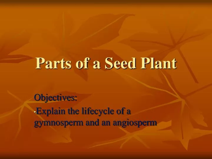 parts of a seed plant
