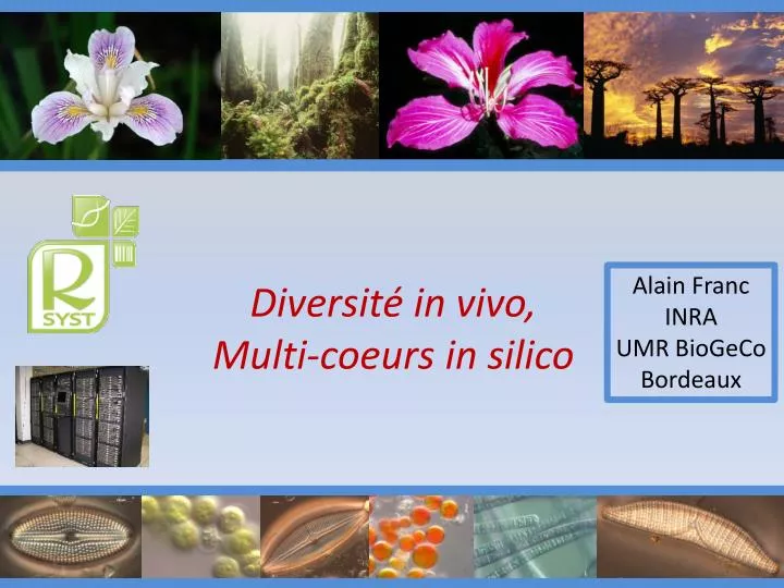 diversit in vivo multi coeurs in silico