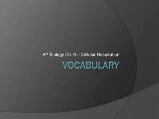 VOCABULARY