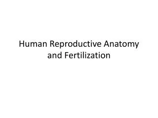 Human Reproductive Anatomy and Fertilization