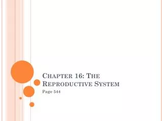 Chapter 16: The Reproductive System