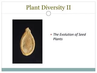 Plant Diversity II