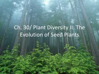 Ch. 30/ Plant Diversity II: The Evolution of Seed Plants