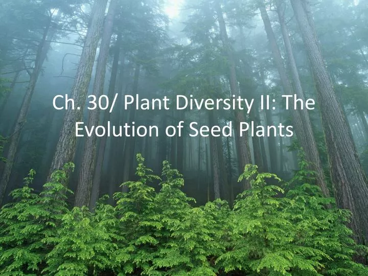 ch 30 plant diversity ii the evolution of seed plants