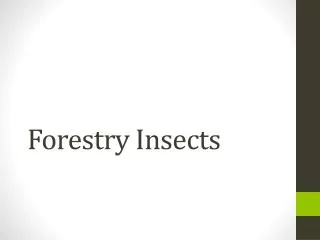 Forestry Insects