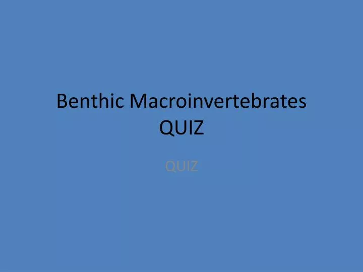 benthic macroinvertebrates quiz