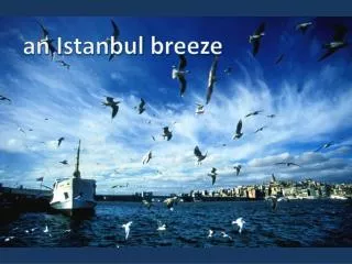 an Istanbul breeze