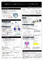 偏極 Drell -Yan 実験による Sivers クォーク分布関数の測定 - slide 1