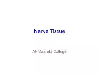 Nerve Tissue