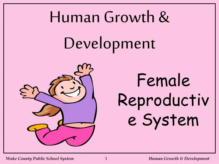 Ppt Female Reproductive System Powerpoint Presentation Free Download Id1952431 