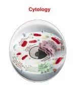 Cytology - slide 1