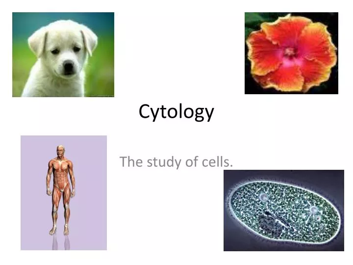 cytology