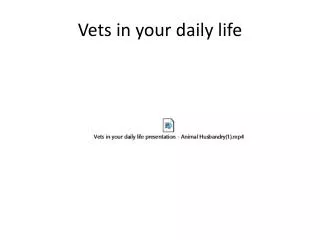 Vets in your daily life