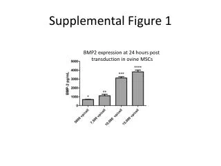 Supplemental Figure 1