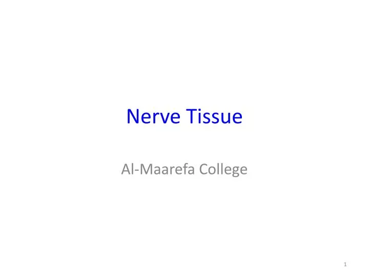 nerve tissue
