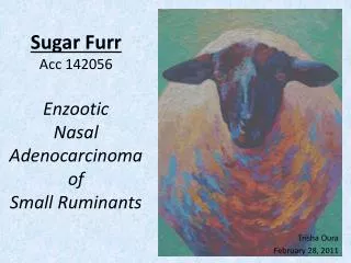 Sugar Furr Acc 142056 Enzootic Nasal Adenocarcinoma of Small Ruminants