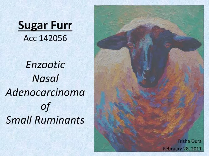 sugar furr acc 142056 enzootic nasal adenocarcinoma of small ruminants