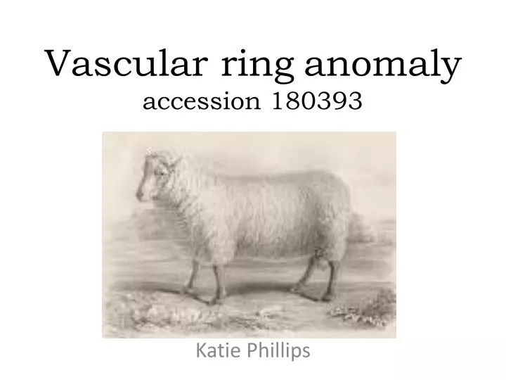 vascular ring anomaly accession 180393