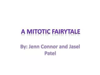 A Mitotic Fairytale