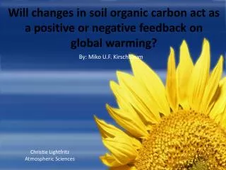 Will changes in soil organic carbon act as a positive or negative feedback on global warming?