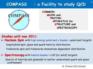 COMPASS : a Facility to study QCD