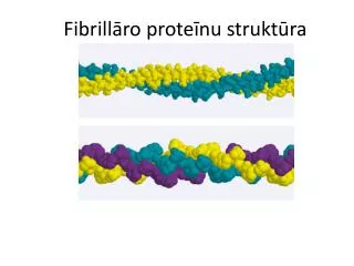 Fibrillāro proteīnu struktūra