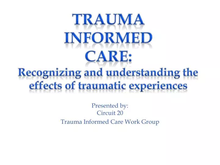 presented by circuit 20 trauma informed care work group
