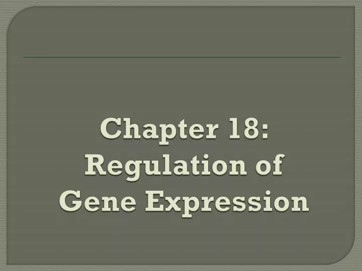 chapter 18 regulation of gene expression