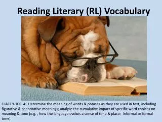 Reading Literary (RL) Vocabulary