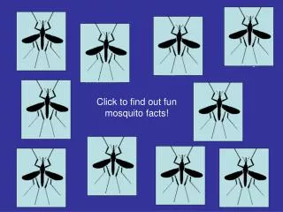 Click to find out fun mosquito facts!