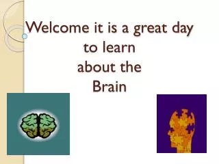 Welcome it is a great day to learn about the Brain