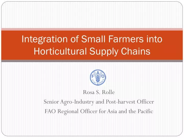 integration of small farmers into horticultural supply chains