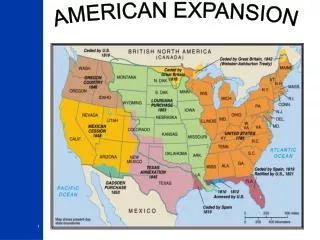 AMERICAN EXPANSION