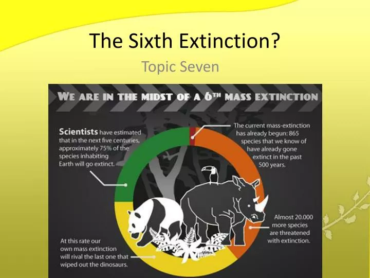 the sixth extinction