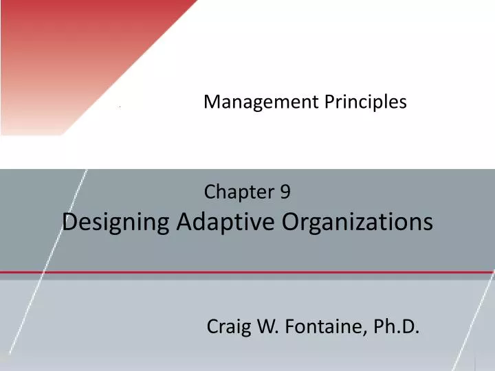 chapter 9 designing adaptive organizations