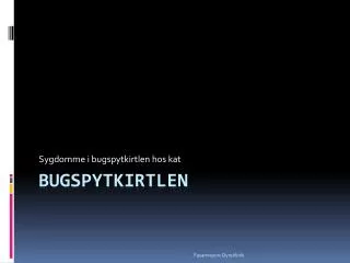sygdomme i bugspytkirtlen hos kat