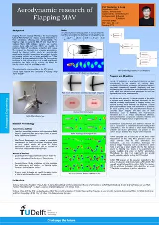 Aerodynamic research of Flapping MAV