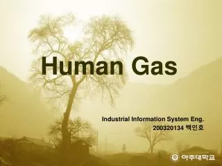 human gas