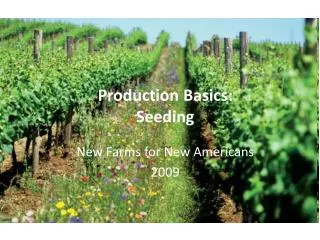 Production Basics: Seeding