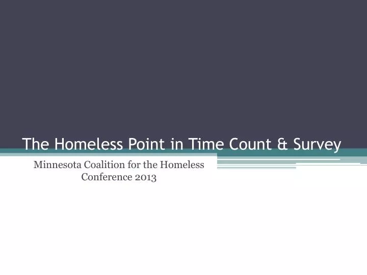 the homeless point in time count survey