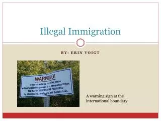 Illegal Immigration