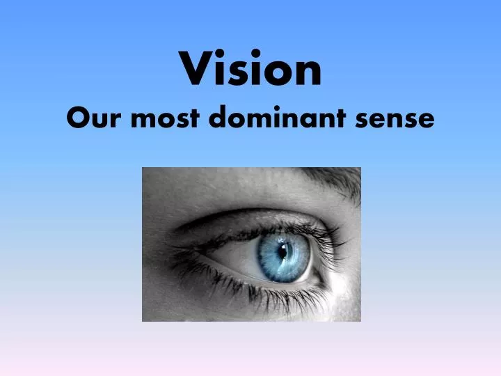 vision our most dominant sense
