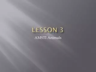 Lesson 3