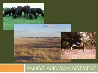 Rangeland Management
